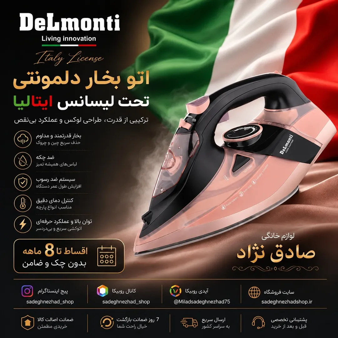 اتو بخار دلمونتی